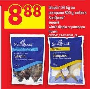 TILAPIA 1,36 KG OU POMPANO 800 G, ENTIERS SEAQUEST® | WHOLE TILAPIA OR POMPANO - frozen