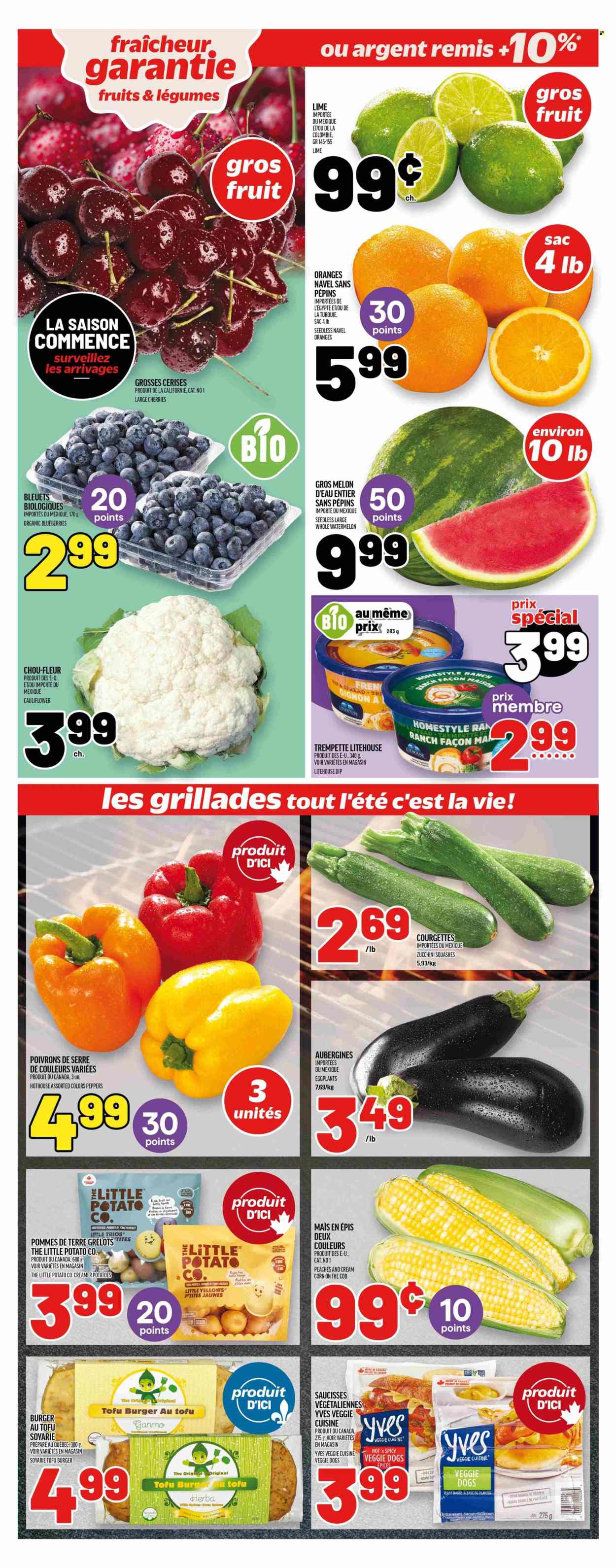 Circulaire Metro - 15 Mai 2025 - 21 Mai 2025. Page 1