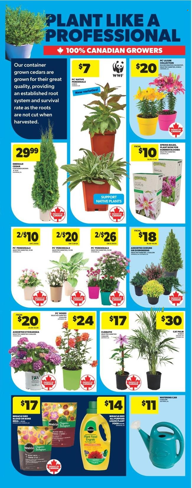 Circulaire Real Canadian Superstore - 15 Mai 2025 - 21 Mai 2025. Page 1