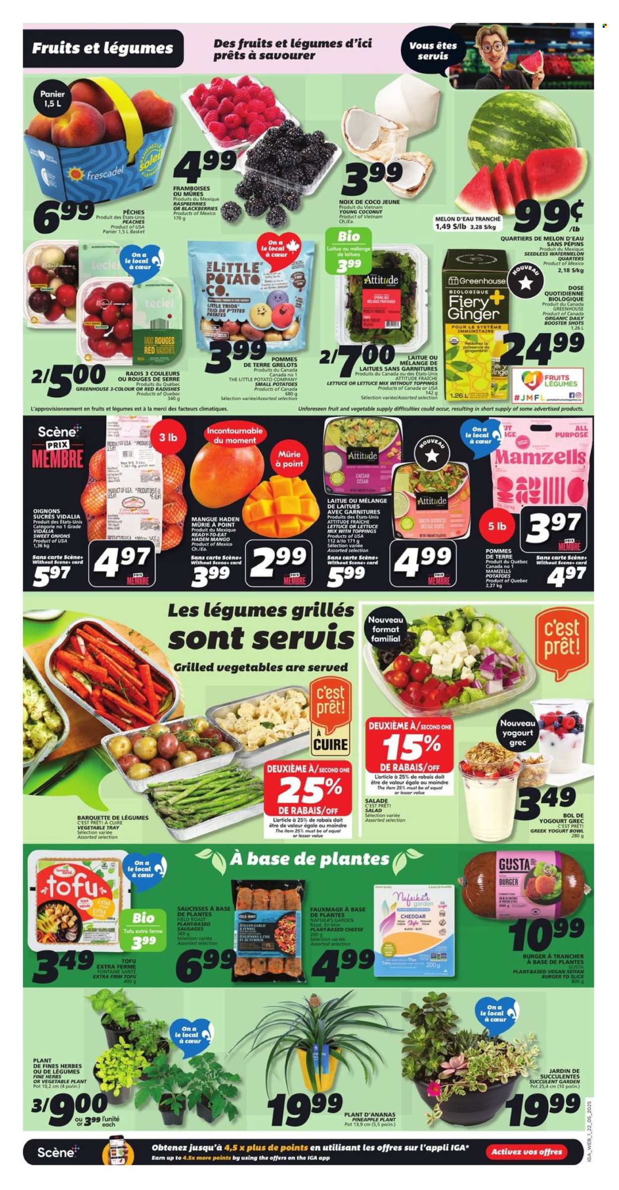 Circulaire IGA - 22 Mai 2025 - 28 Mai 2025. Page 1