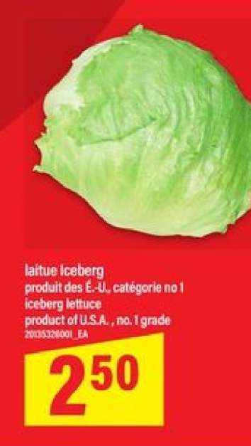 laitue Iceberg