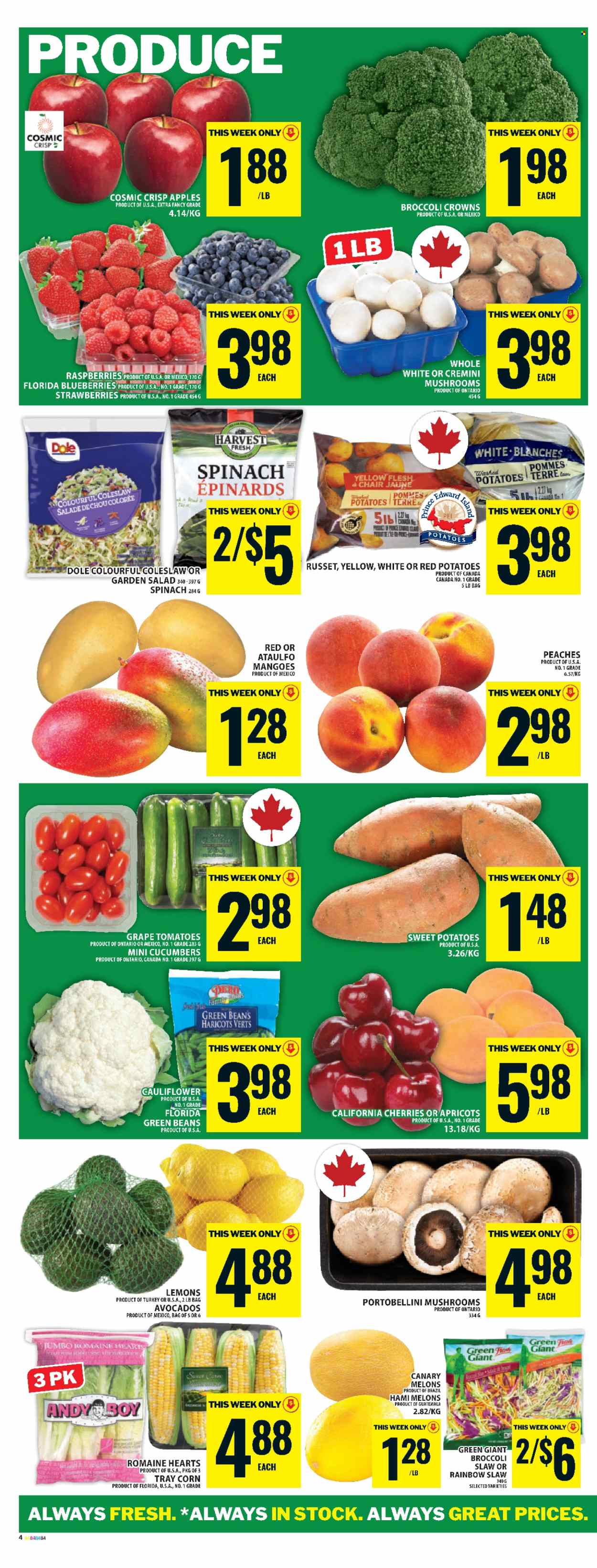 Circulaire Food Basics - 22 Mai 2025 - 28 Mai 2025. Page 1