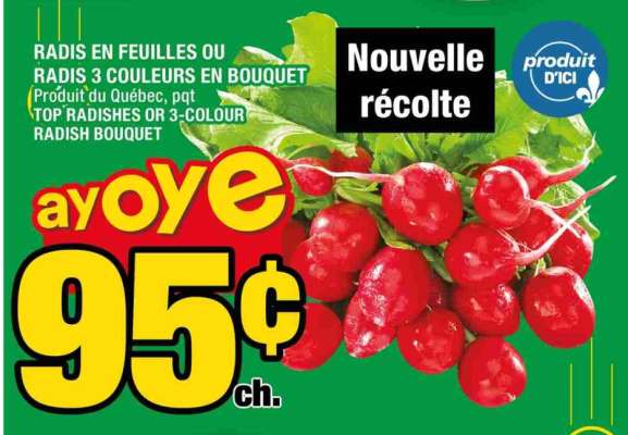 Radis en feuilles ou radis 3 couleurs en bouquet