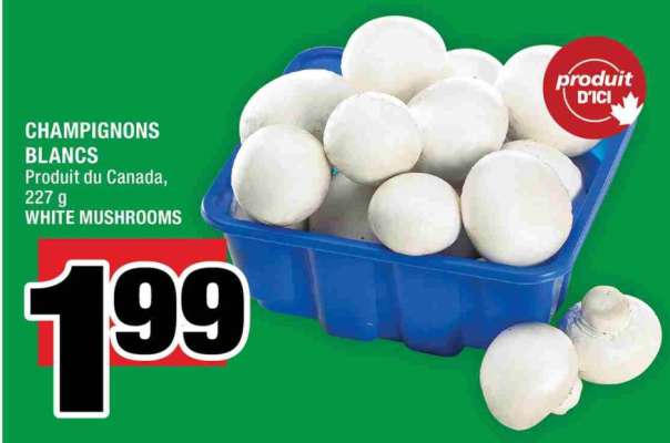 CHAMPIGNONS BLANCS