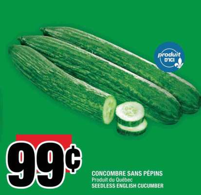 CONCOMBRE SANS PÉPINS