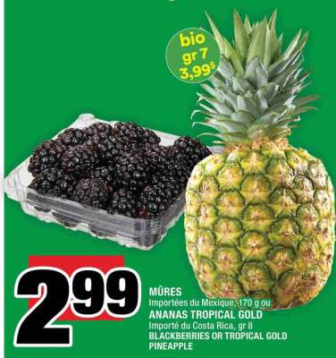 MÛRES / ANANAS TROPICAL GOLD