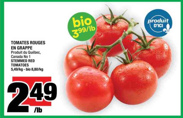 TOMATES ROUGES EN GRAPPE