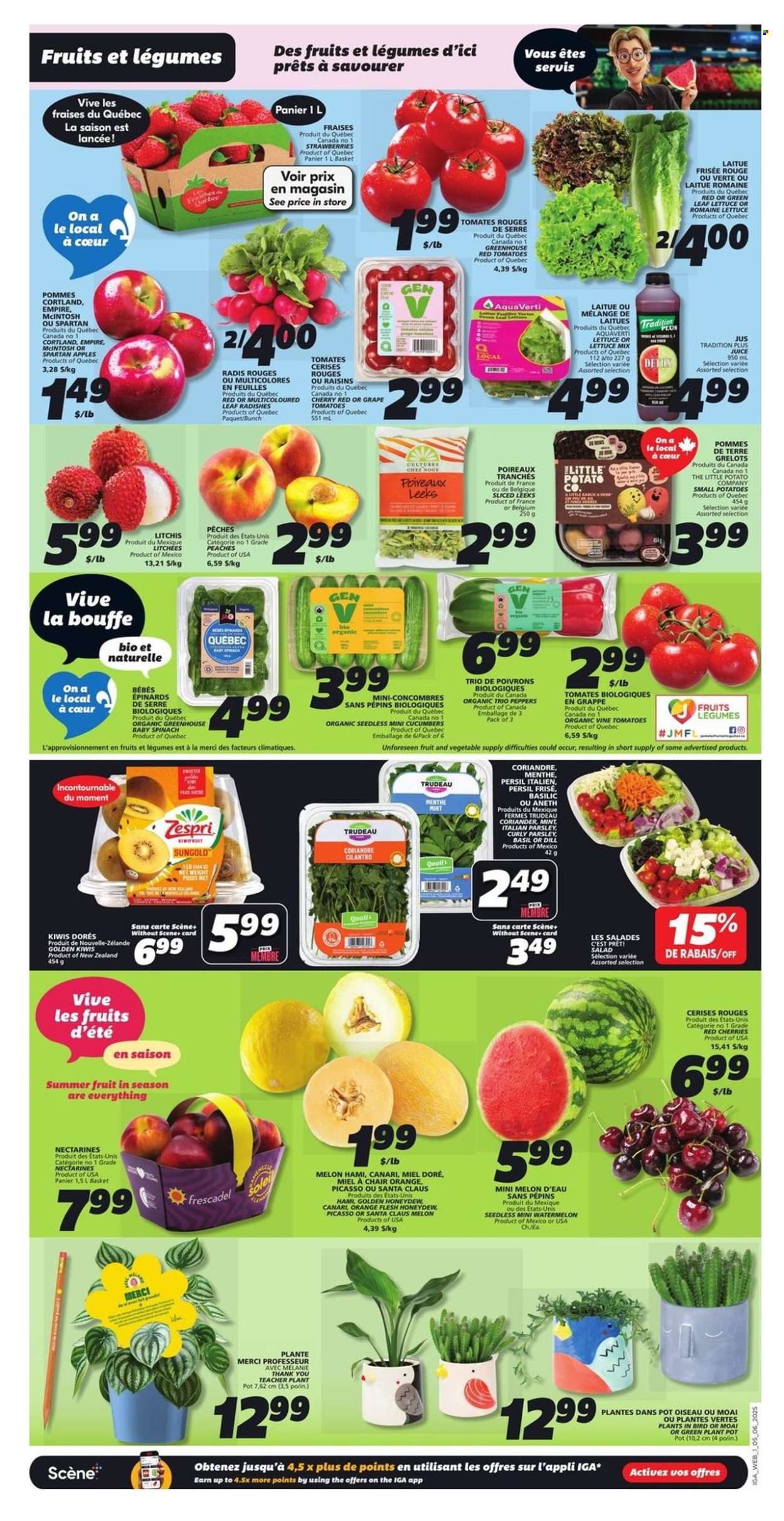 Circulaire IGA - 05 Juin 2025 - 11 Juin 2025. Page 3