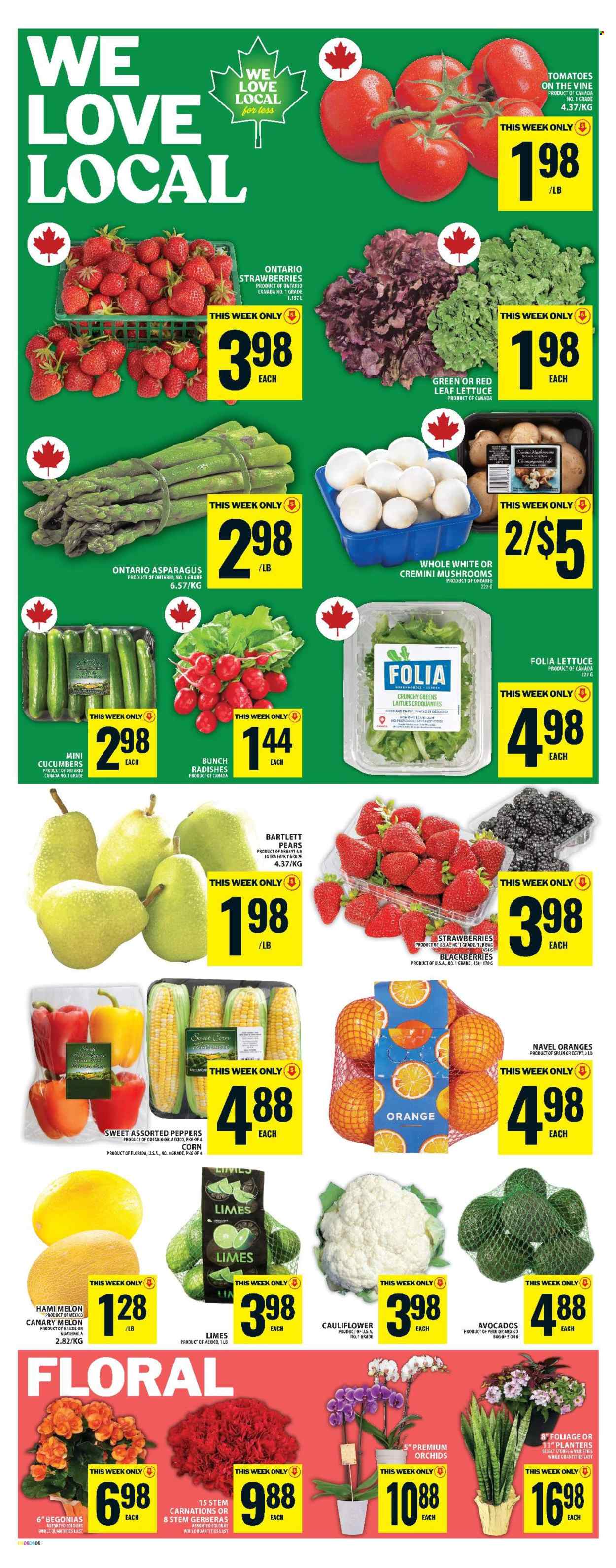 Circulaire Food Basics - 05 Juin 2025 - 11 Juin 2025. Page 11