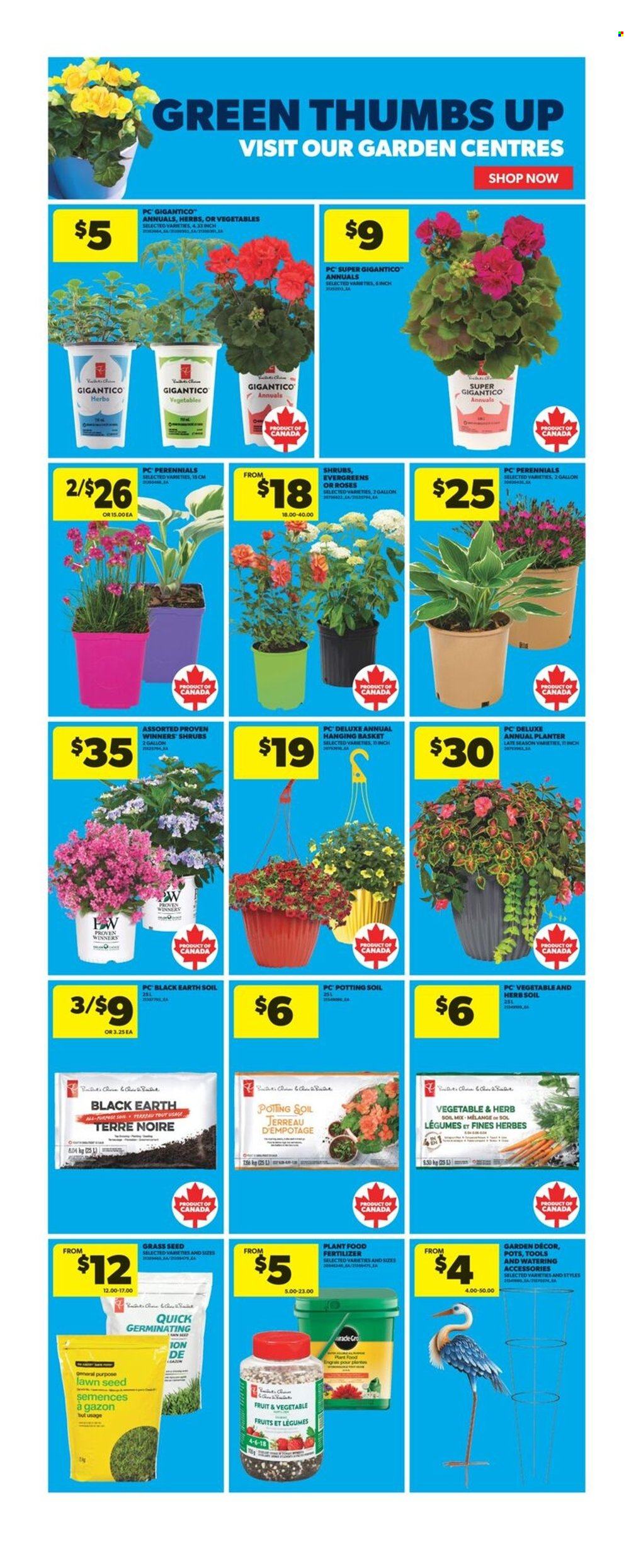 Circulaire Real Canadian Superstore - 05 Juin 2025 - 11 Juin 2025. Page 9