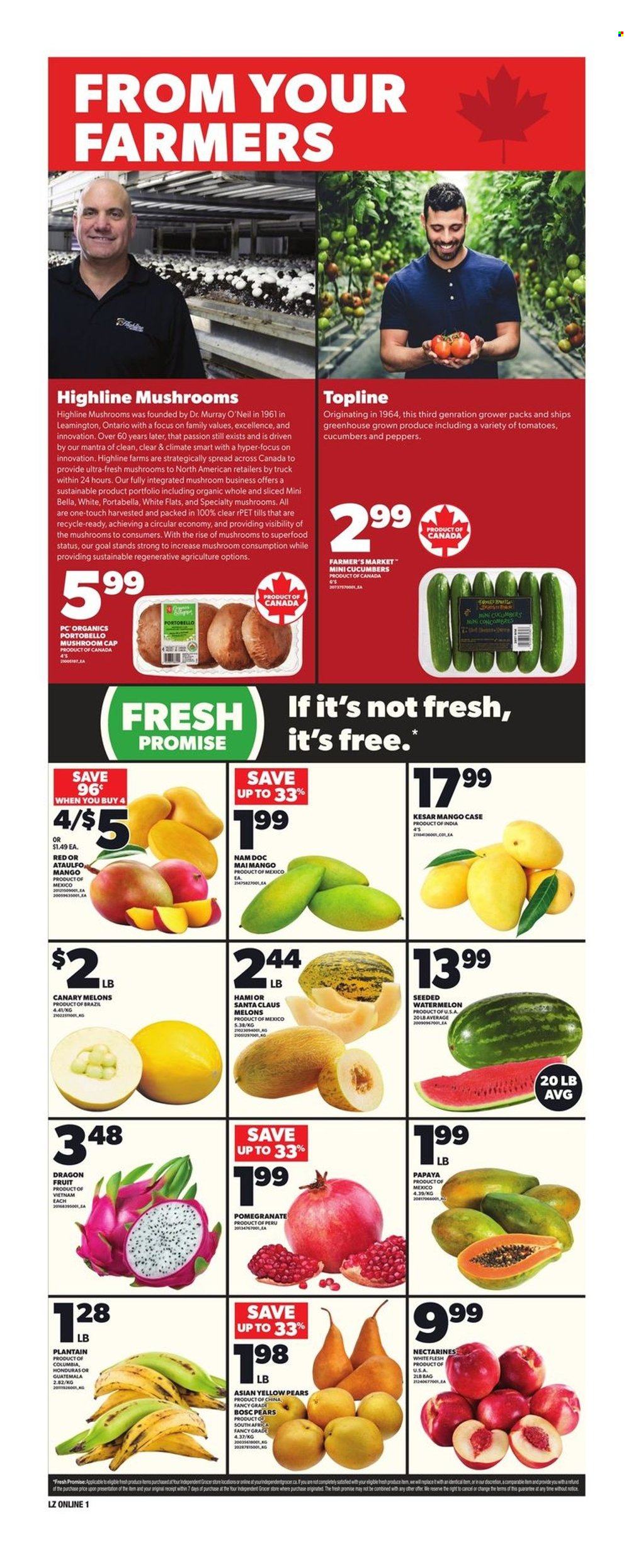 Circulaire Loblaws - 05 Juin 2025 - 11 Juin 2025. Page 7