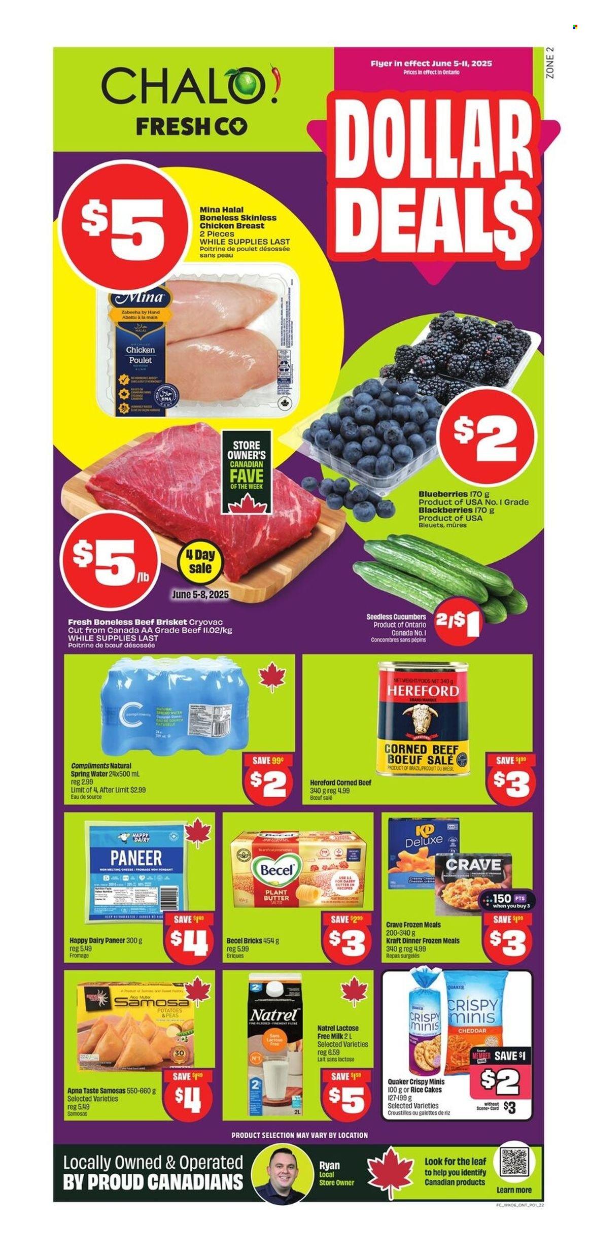 Circulaire Chalo! FreshCo. - 05 Juin 2025 - 11 Juin 2025. Page 1