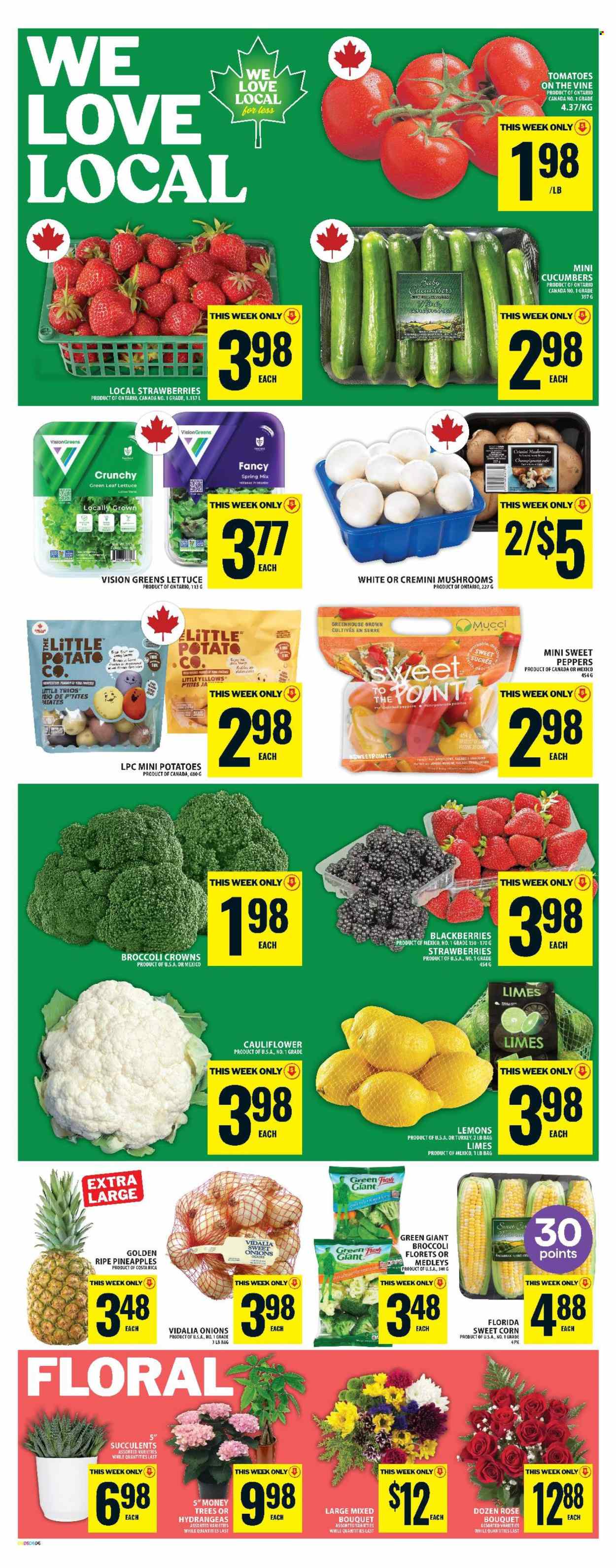 Circulaire Food Basics - 12 Juin 2025 - 18 Juin 2025. Page 10