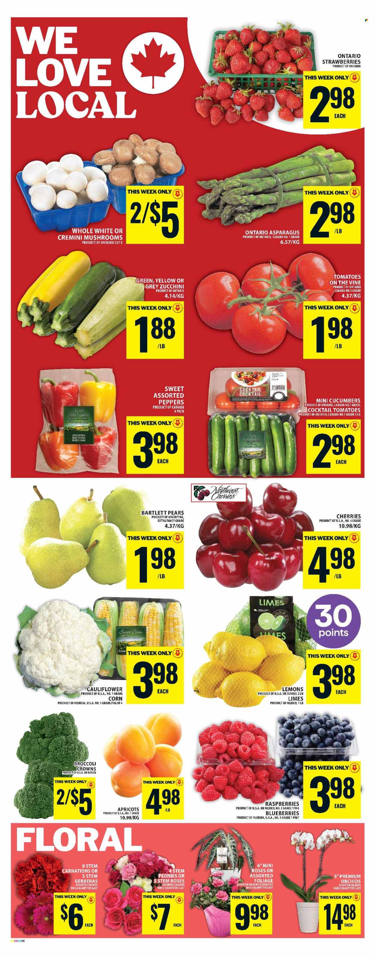 Circulaire Food Basics - 19 Juin 2025 - 25 Juin 2025. Page 10