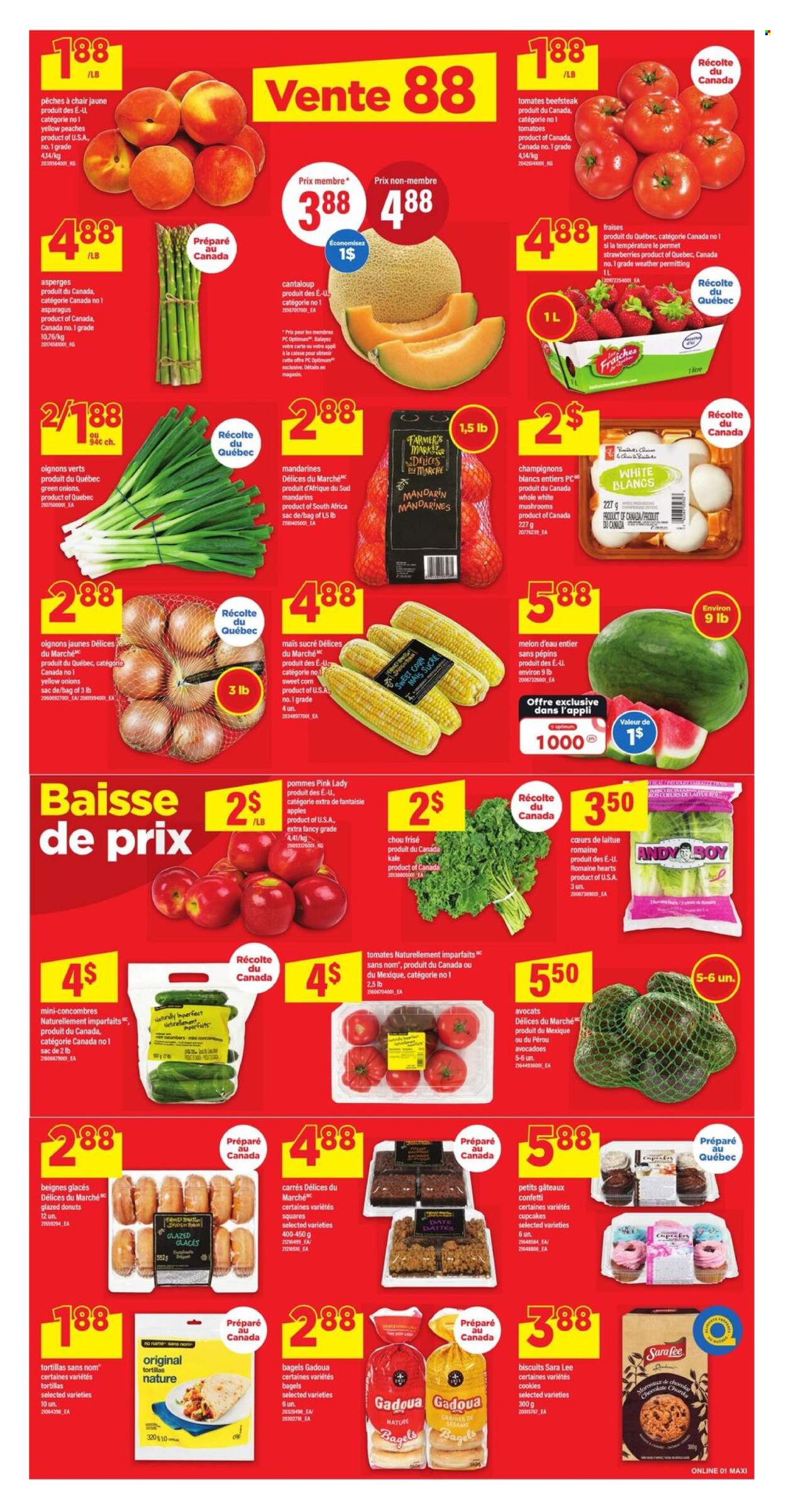 Circulaire Maxi - 26 Juin 2025 - 02 Juillet 2025. Page 5