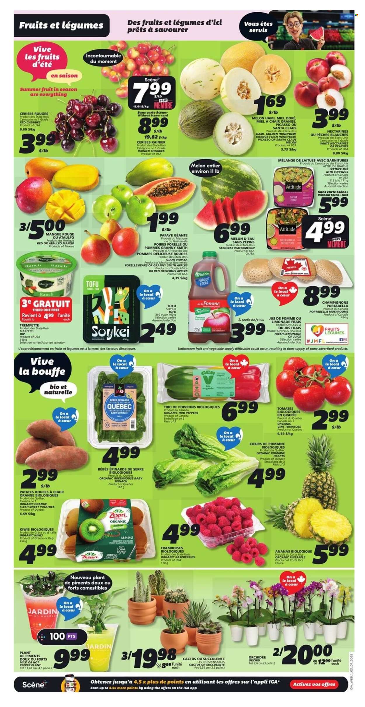 Circulaire IGA - 03 Juillet 2025 - 09 Juillet 2025. Page 3