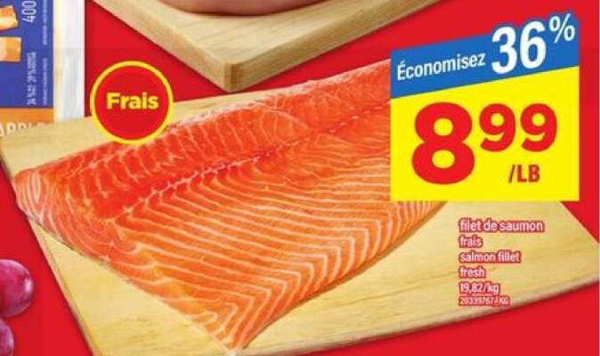 filet de saumon frais