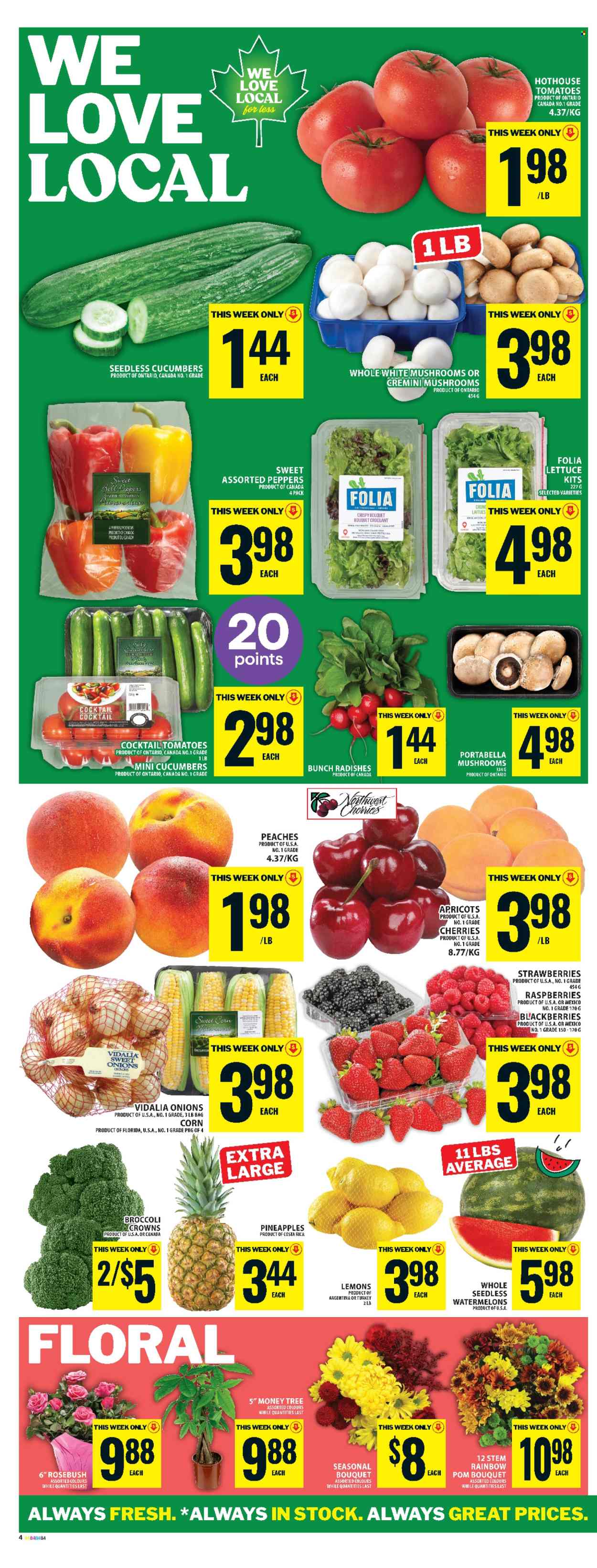 Circulaire Food Basics - 03 Juillet 2025 - 09 Juillet 2025. Page 13