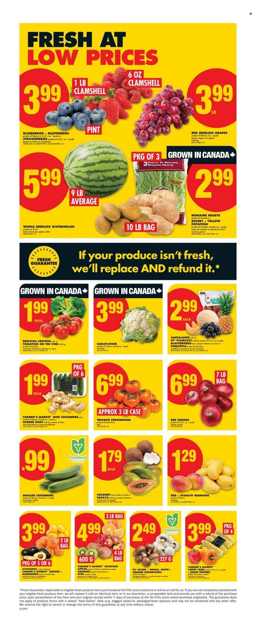 Circulaire No Frills - 03 Juillet 2025 - 09 Juillet 2025. Page 3