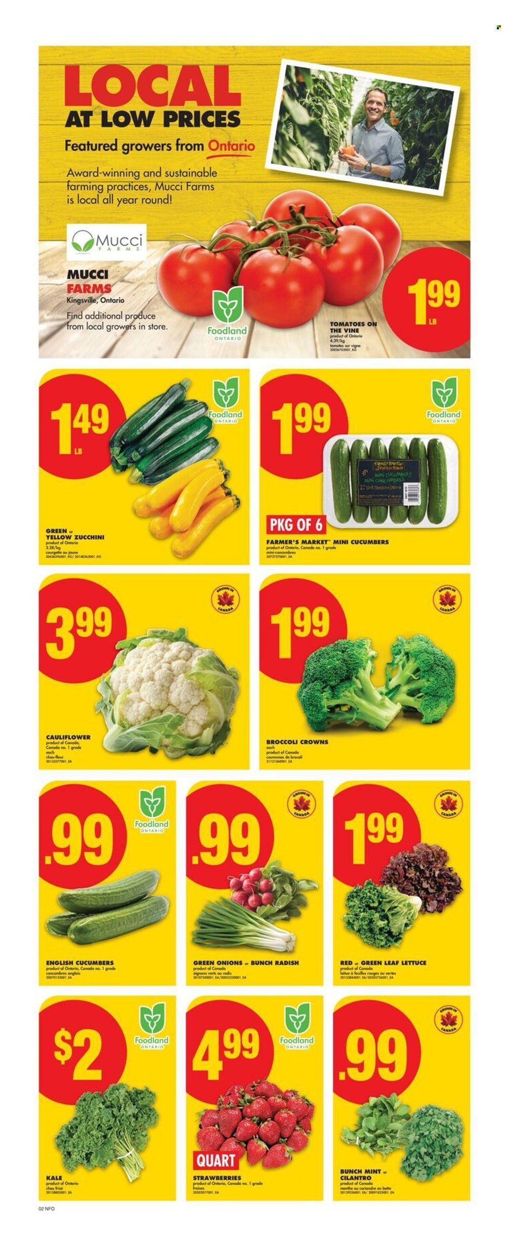 Circulaire No Frills - 10 Juillet 2025 - 16 Juillet 2025. Page 3
