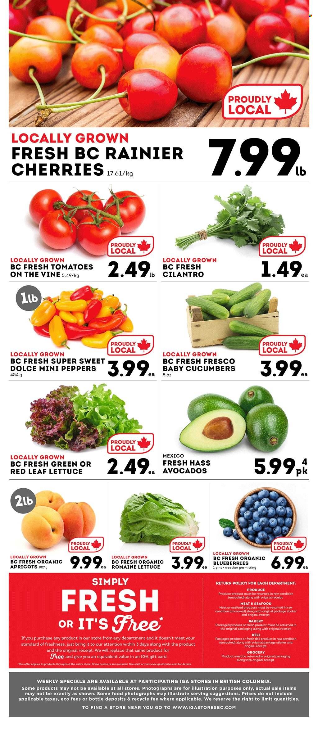 Circulaire IGA Simple Goodness - 11 Juillet 2025 - 17 Juillet 2025. Page 6
