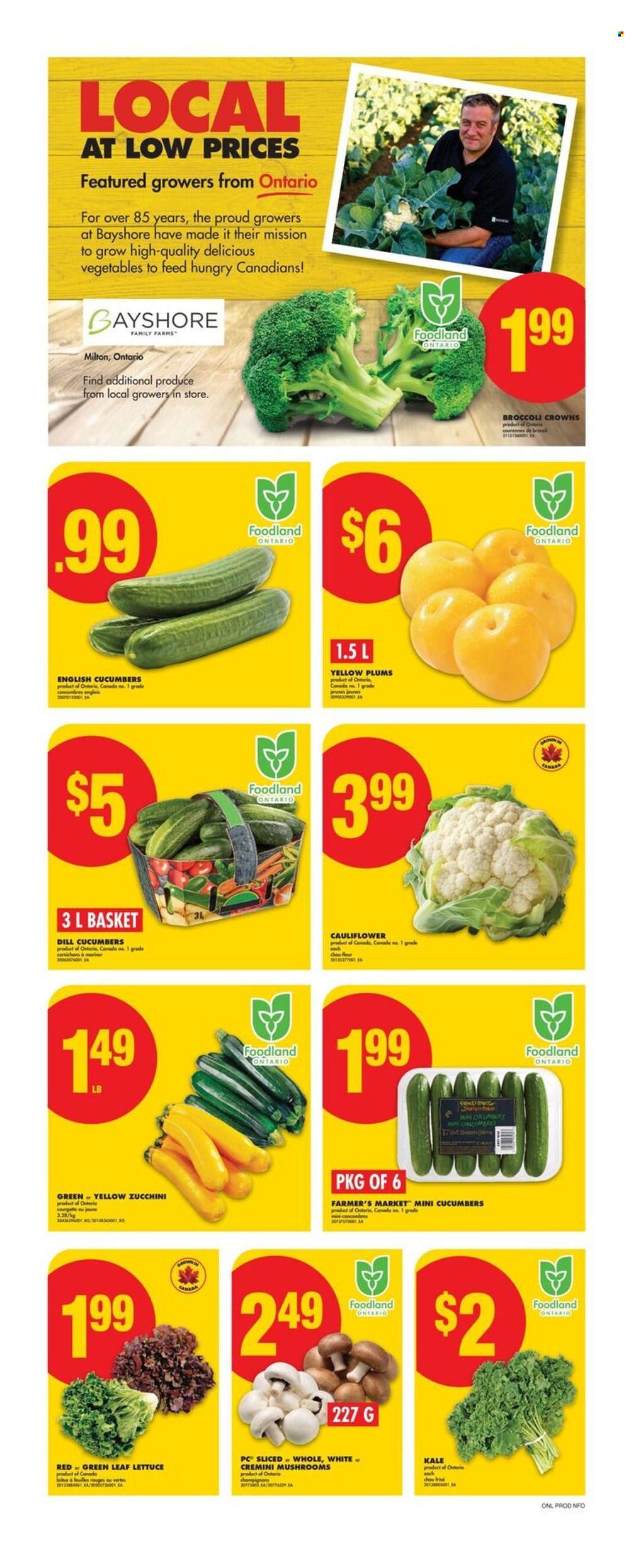 Circulaire No Frills - 17 Juillet 2025 - 23 Juillet 2025. Page 3
