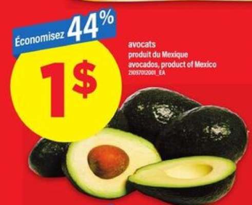 avocats
