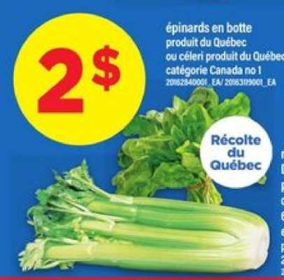 épinards en botte ou céleri