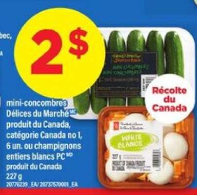 Mini-concombres Délices du Marché ou champignons entiers blancs PC
