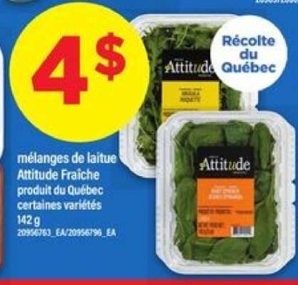 mélanges de laitue Attitude Fraîche