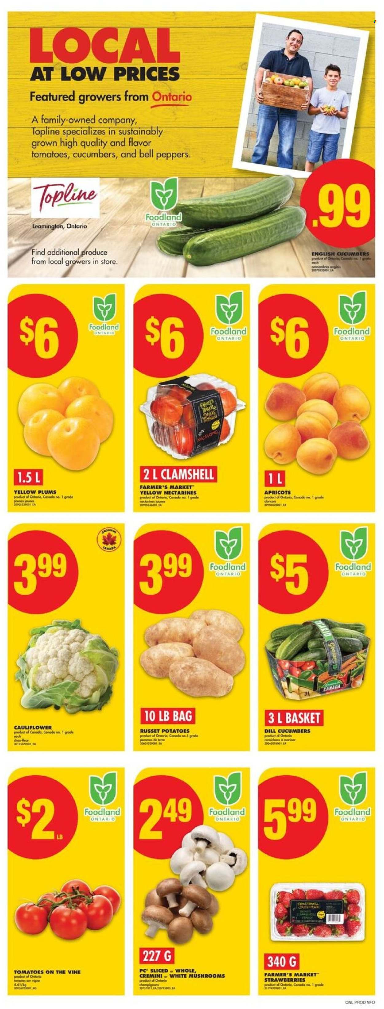 Circulaire No Frills - 24 Juillet 2025 - 30 Juillet 2025. Page 2