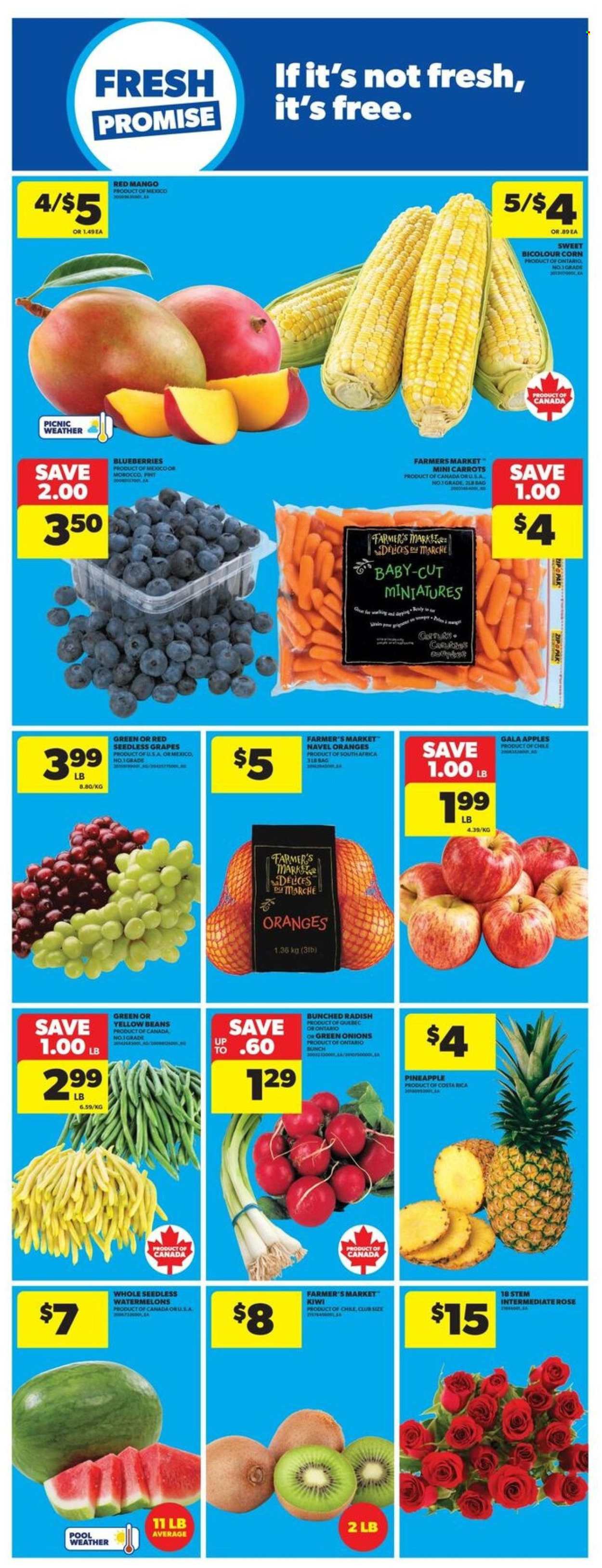 Circulaire Real Canadian Superstore - 24 Juillet 2025 - 30 Juillet 2025. Page 9