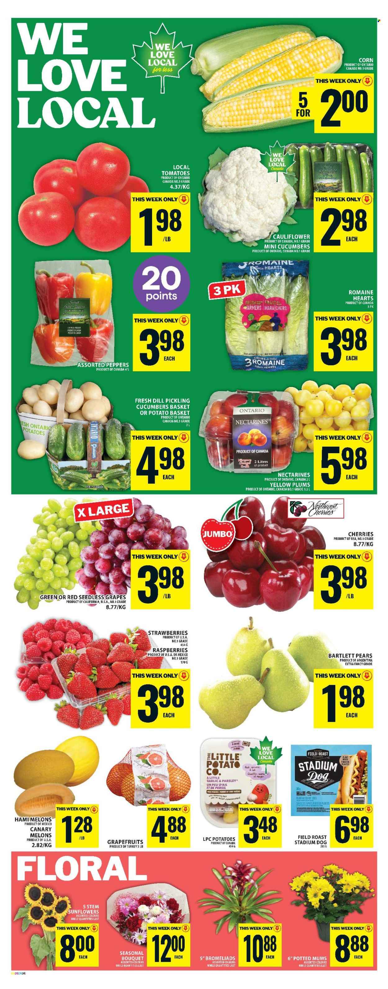 Circulaire Food Basics - 31 Juillet 2025 - 06 Août 2025. Page 4