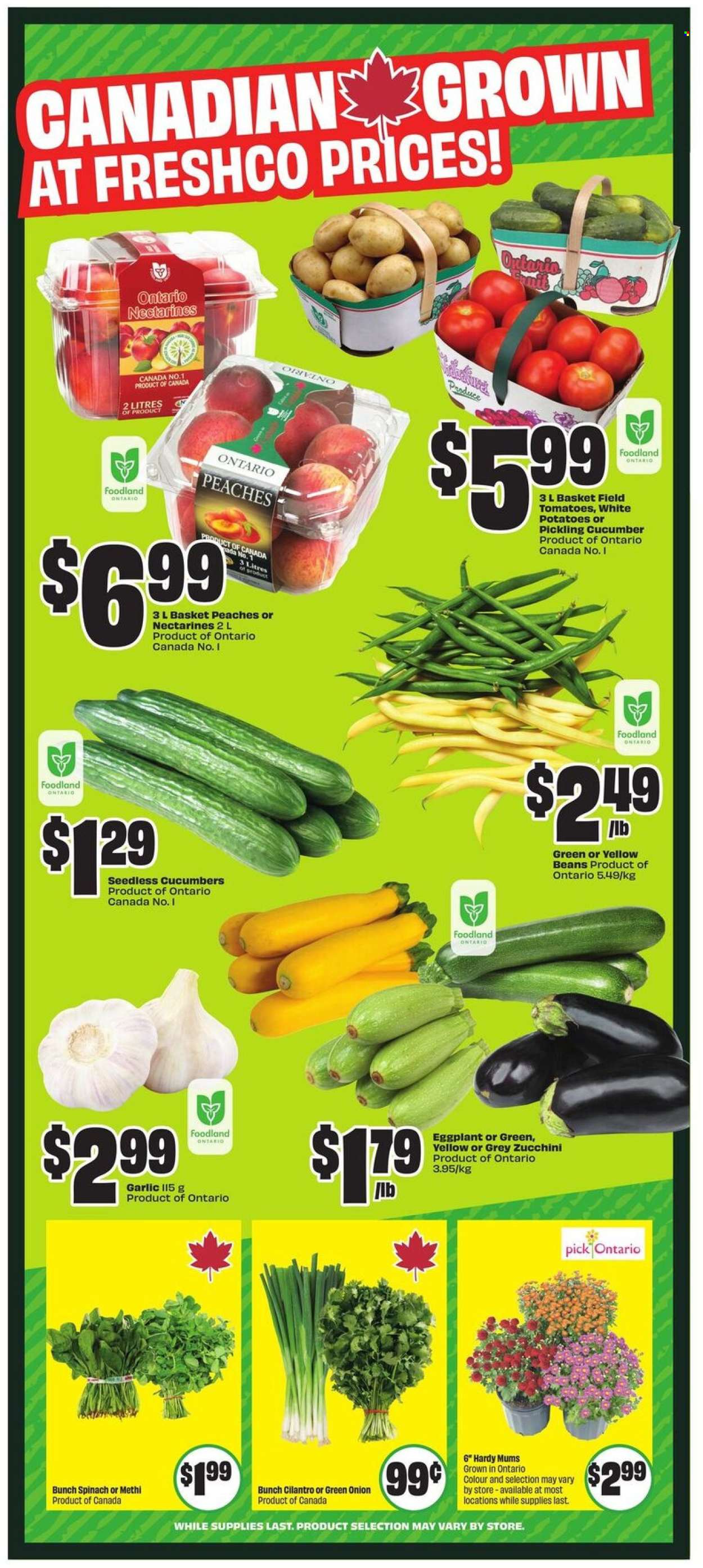 Circulaire Chalo! FreshCo. - 07 Août 2025 - 13 Août 2025. Page 6
