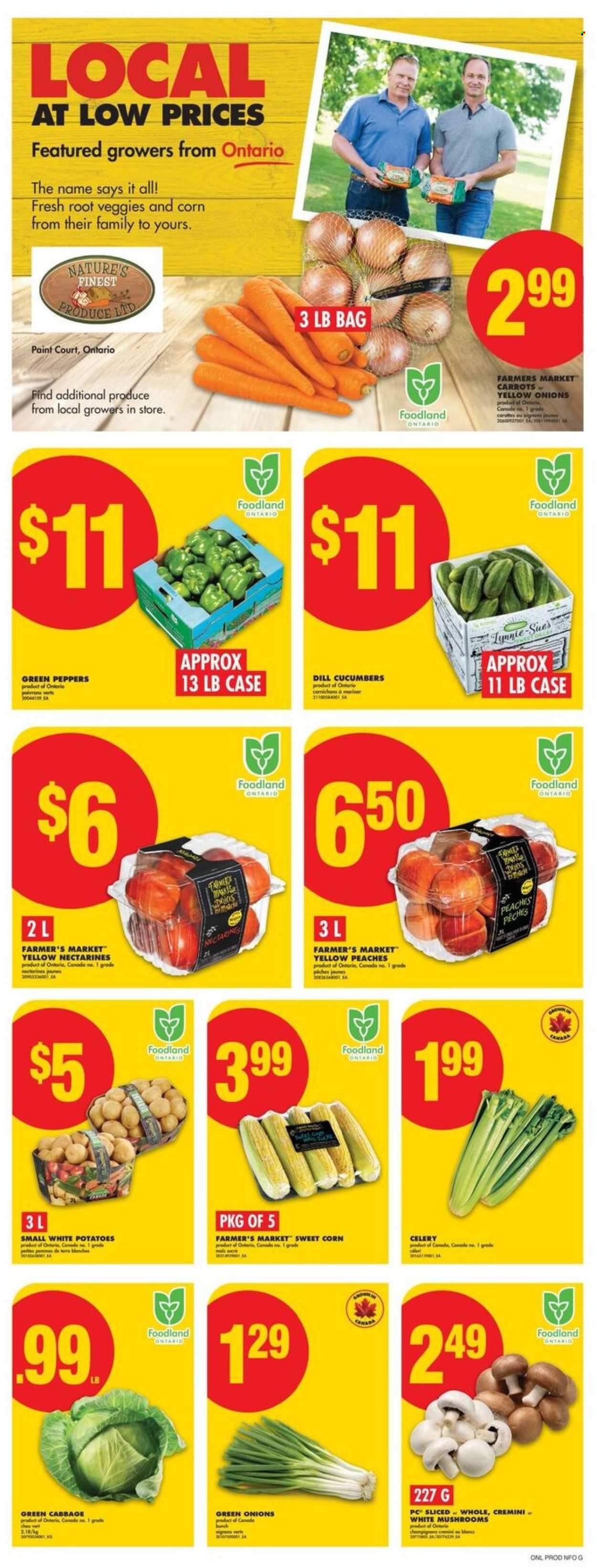 Circulaire No Frills - 14 Août 2025 - 20 Août 2025. Page 3