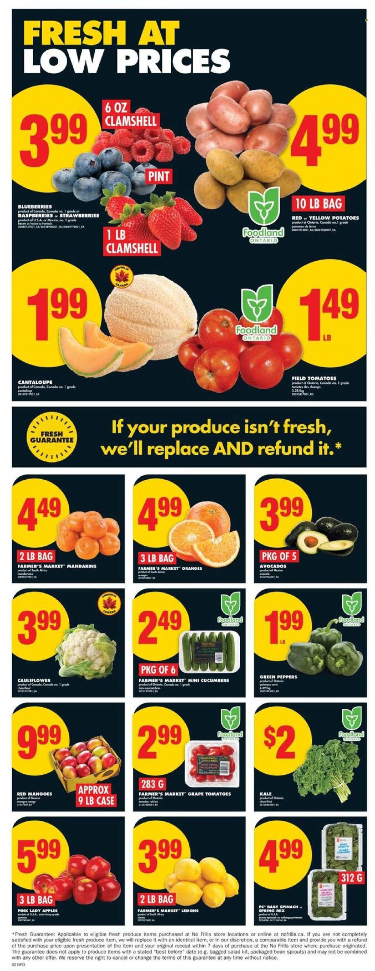 Circulaire No Frills - 14 Août 2025 - 20 Août 2025. Page 4