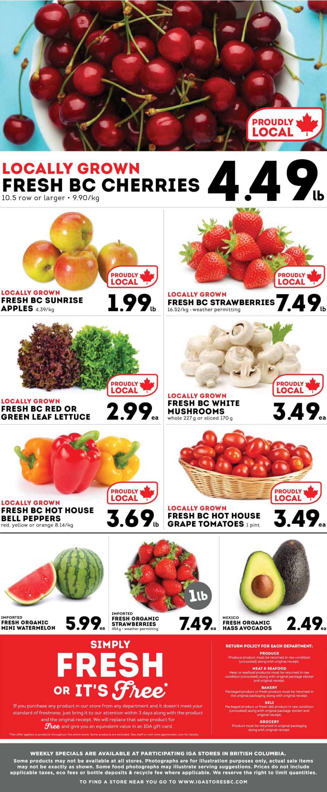 Circulaire IGA Simple Goodness - 15 Août 2025 - 21 Août 2025. Page 6