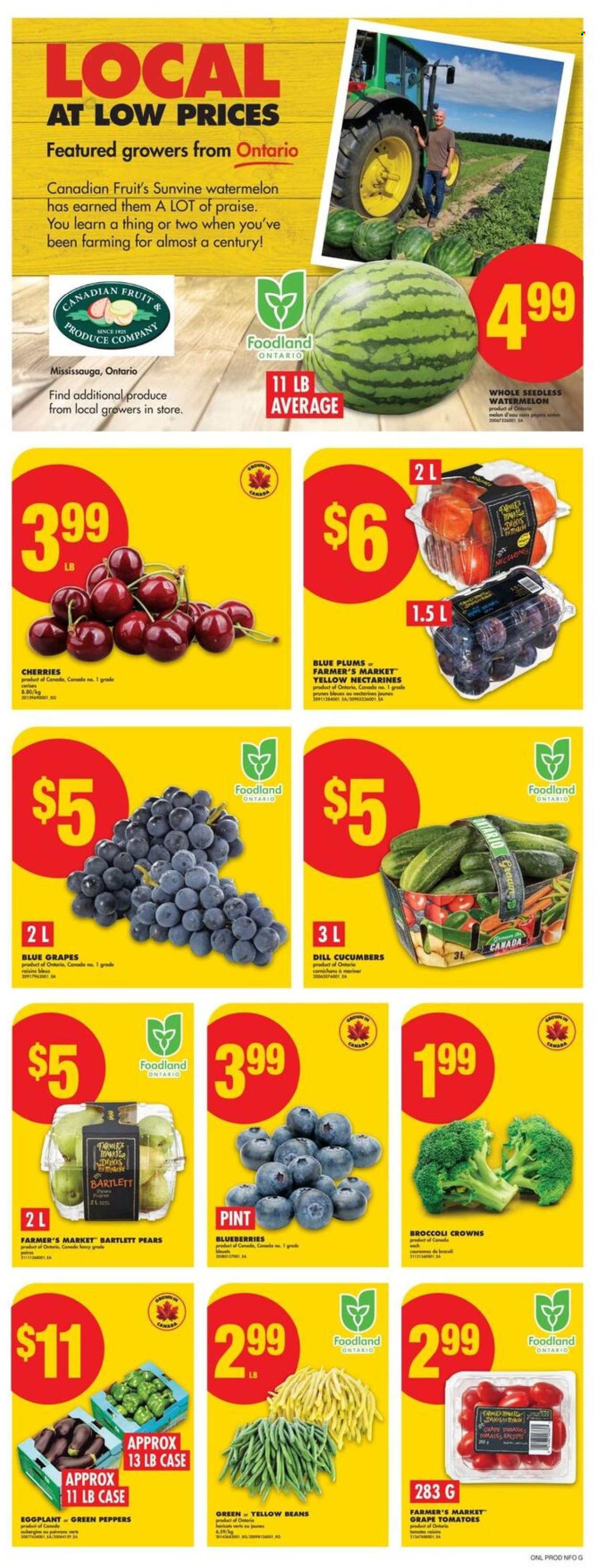 Circulaire No Frills - 21 Août 2025 - 27 Août 2025. Page 3