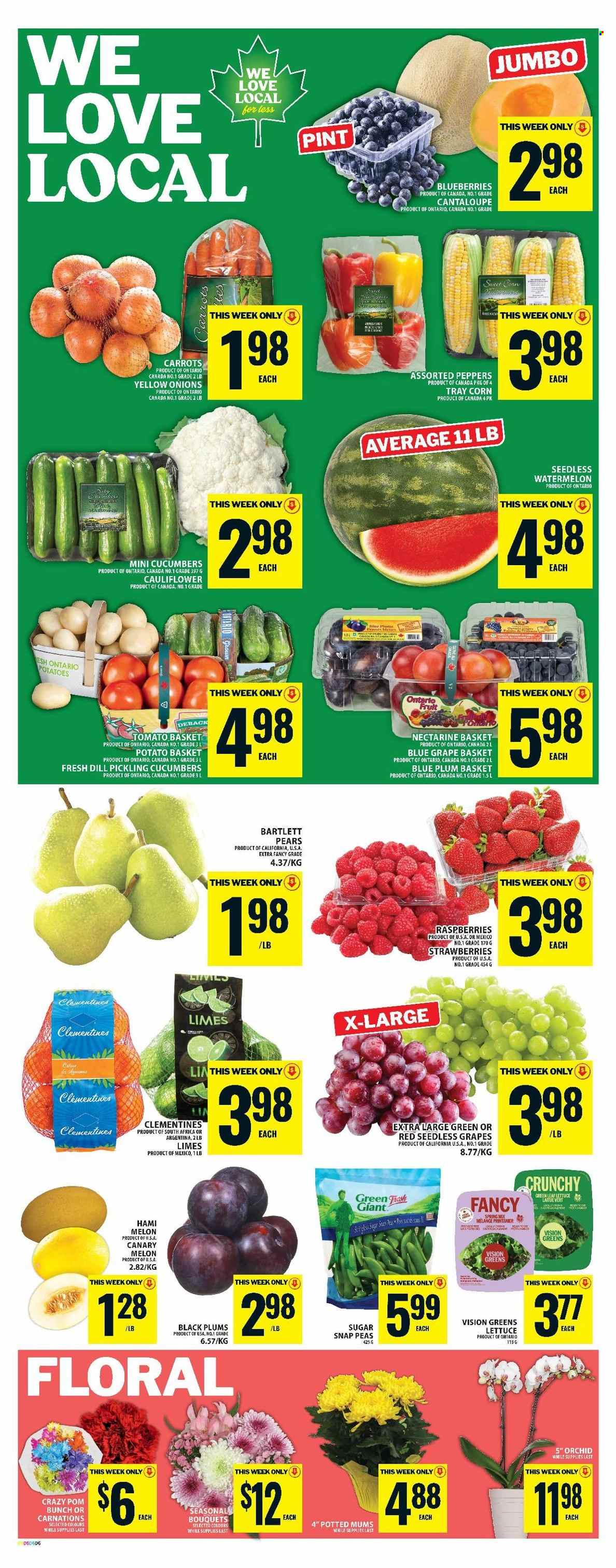 Circulaire Food Basics - 21 Août 2025 - 27 Août 2025. Page 4
