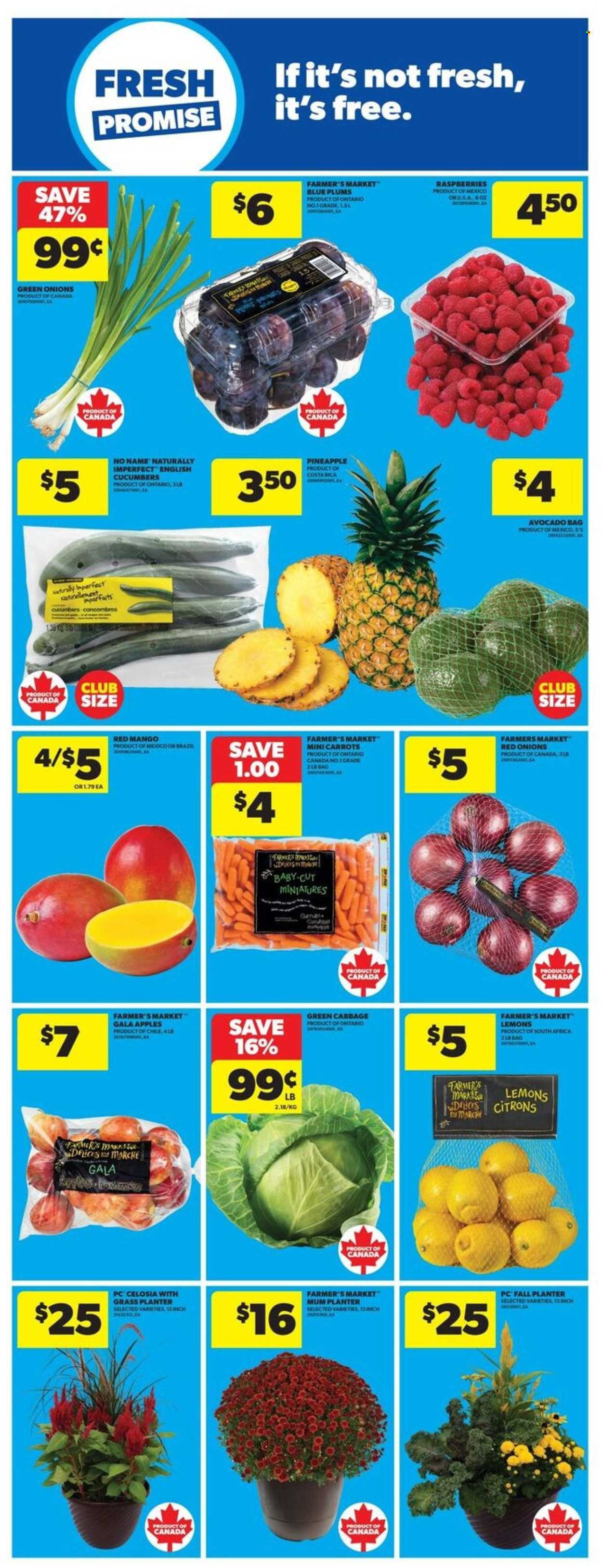 Circulaire Real Canadian Superstore - 28 Août 2025 - 03 Septembre 2025. Page 16