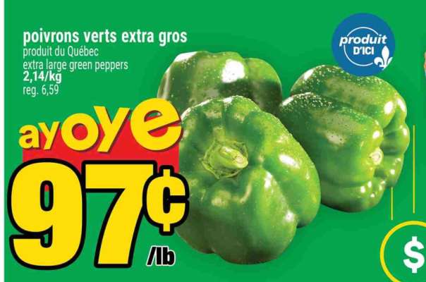 POIVRONS VERTS EXTRA GROS