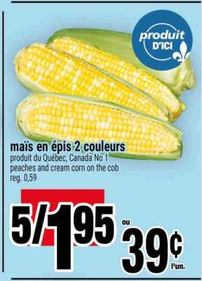 Maïs en épis 2 couleurs