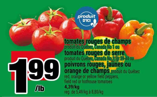 tomates rouges de champs