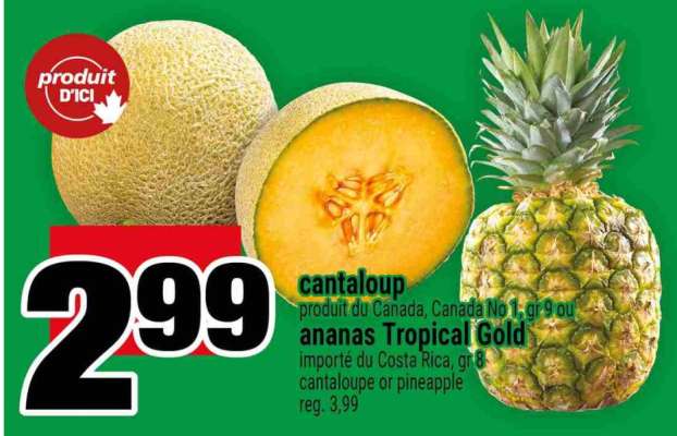 cantaloup ou ananas Tropical Gold