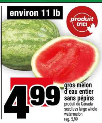 Gros melon d'eau entier sans pépins