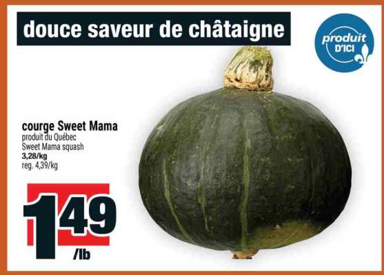 courge Sweet Mama
