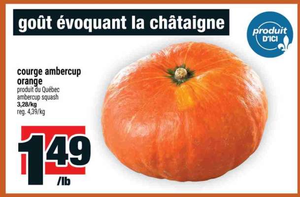 courge ambercup orange