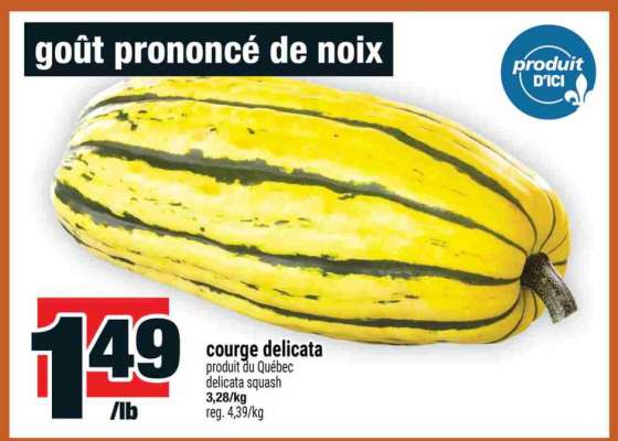 courge delicata