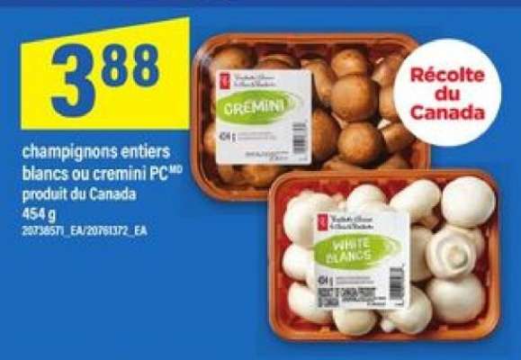 CHAMPIGNONS ENTIERS BLANCS OU CREMINI PC