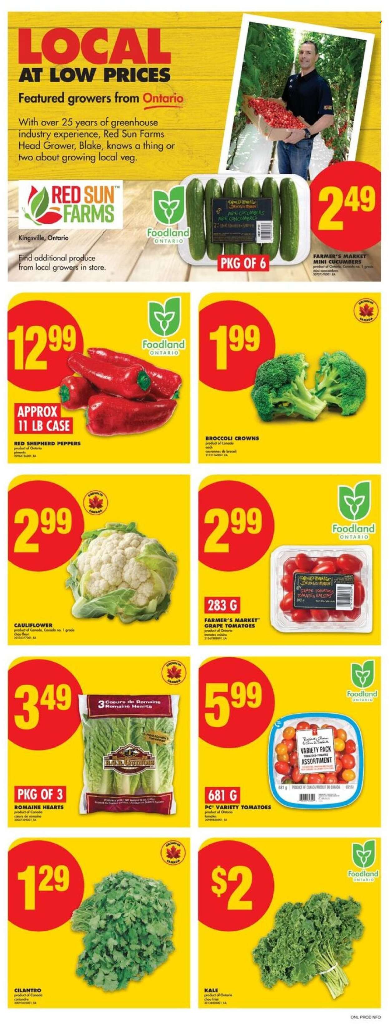 Circulaire No Frills - 11 Septembre 2025 - 17 Septembre 2025. Page 3